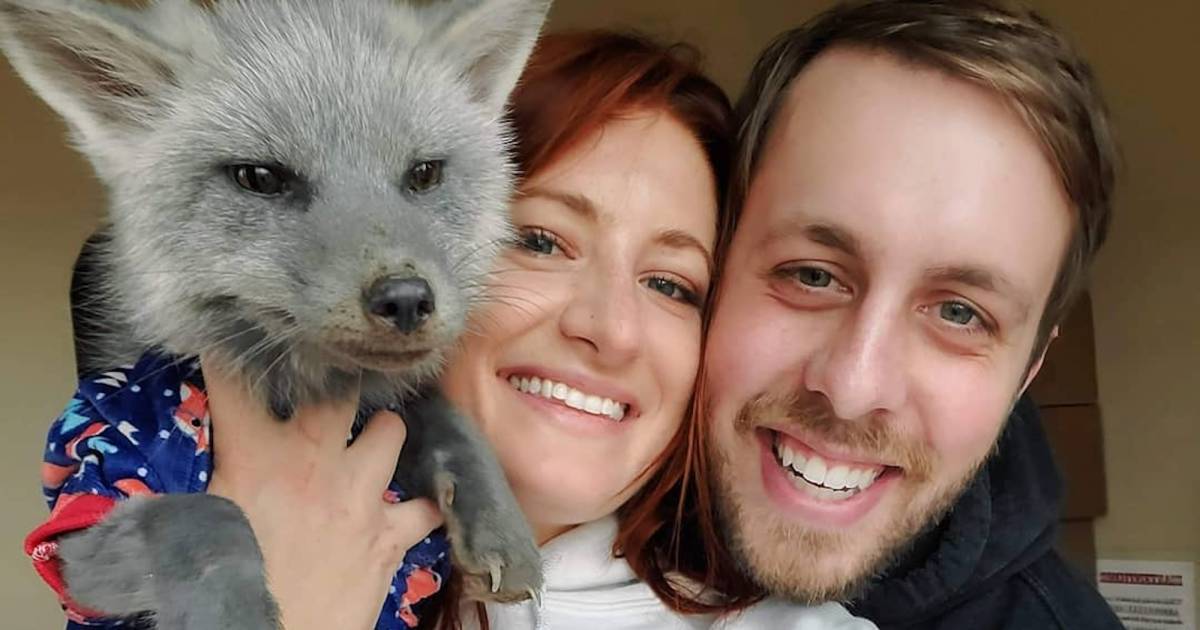 Who Is SaveAFox YouTuber Mikayla Raines' Husband? Meet Ethan Frankamp